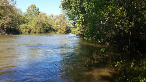 Everyone busy along the edge of the Rivanna River