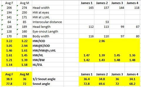 Analysis of Jamesleagas whiptails.jpg