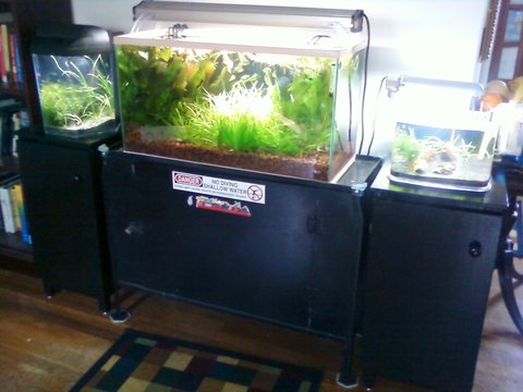 Homemade aquarium stands mod.jpg