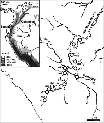 Location of the 13 sampling sites in Alto Madre de Dios basin (Perú). See site codes in Table 1 for further details.