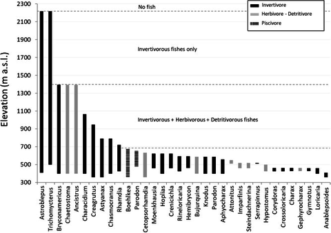 Elevational ranges and trophic specializations of fish species occurring at elevations &gt;400 m a.s.l. in tributary and main-channel sites within the Alto Madre de Dios and Hacha watersheds.