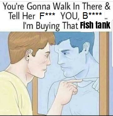 fish pic.jpg