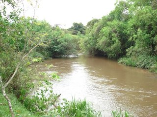 rio do indio 3.JPG