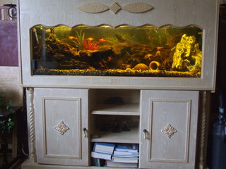 fishtank 003.jpg