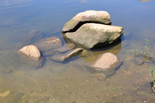 Cichlid Habitat