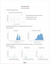 scleromystax barbatus planetcatfish breeding log summary page 1.jpg