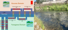 Figure 1: Left: Diagram of the detour canals constructed as the result of a historical water struggle between the Kurume and Yanagawa Domains. Red parts show the study sections. Right: A photograph of a detour canal. https://bdj.pensoft.net/article/119