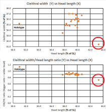 cleithral width vs head length.png