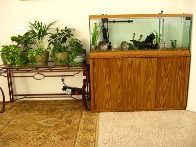 Long view-tank next to plants