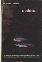 Rasbora.jpg