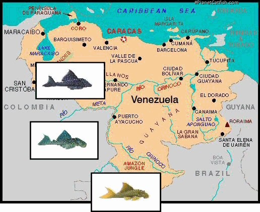 Map of venezuela with 3 pictures of L128 & L200