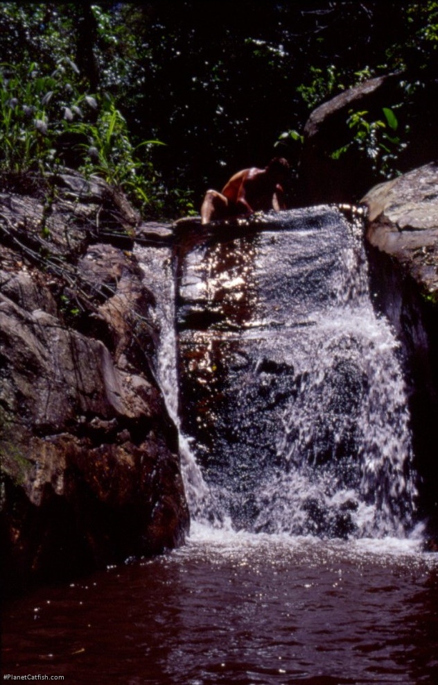 Cataracts in the Marica Highlands