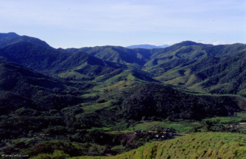 A view from the Marica Highlands