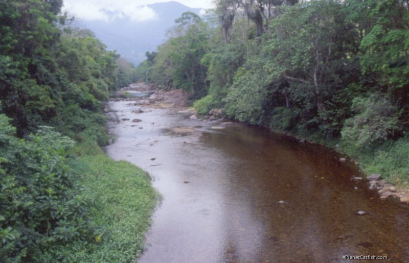 Rio De Azeite - Sao Paulo