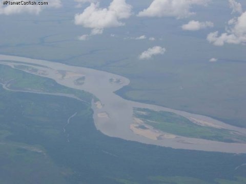 An aerial view of the Rio Meta, Colombia just a few miles upstream from where it meets the Orinoco.