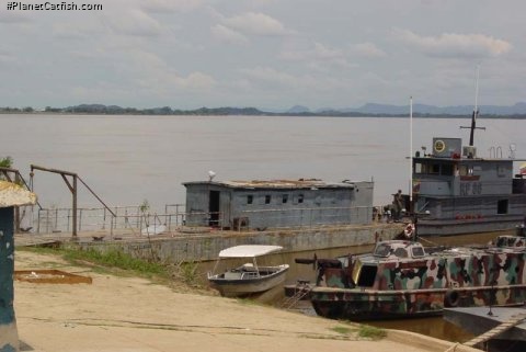 Looking east across the Rio Orinoco from Puerto Carreño, Colombia towards Venezuela. The Orinoco is a typical black water river. Many beautiful loricariids are exported from here.