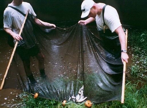 Examining the catch