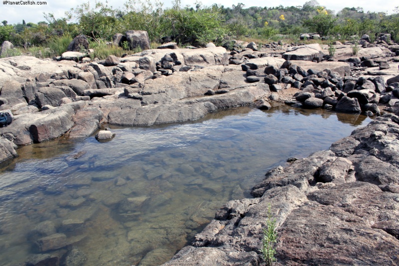 Better than any spa - this is Rio Iriri rockpooling!