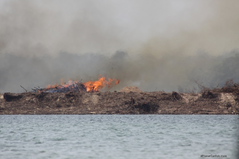 The Isla do Arapujá - on fire