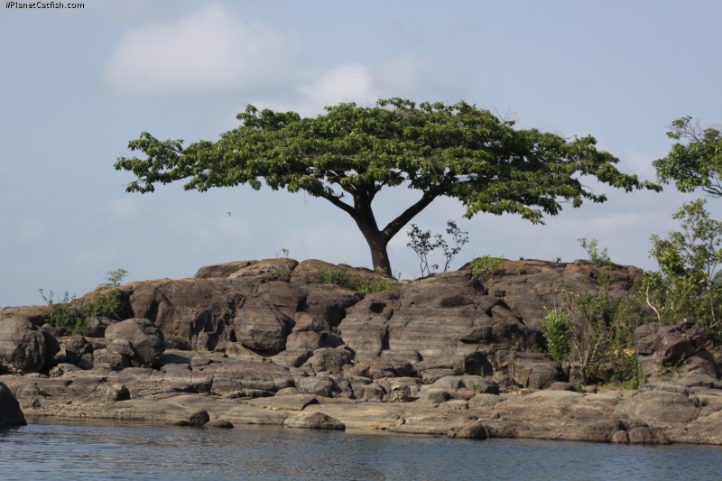 Rio Xingu island