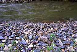 Rio Tulumayo Riverbed