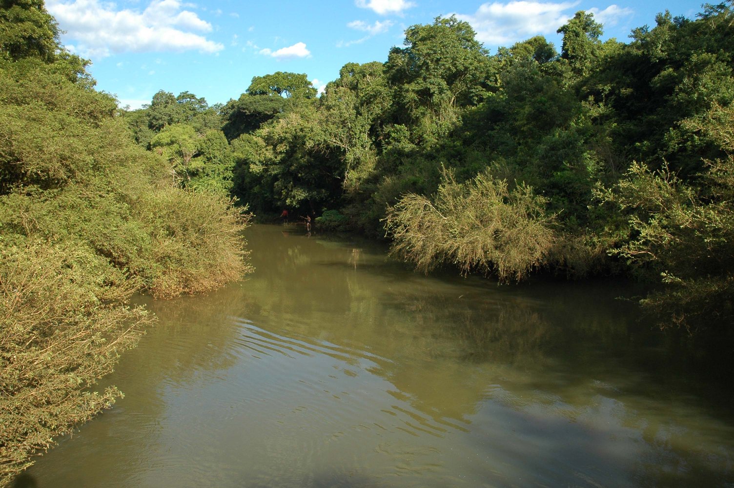 The Arroyo Falso Uruguai in Northern Misiones,January 2010.