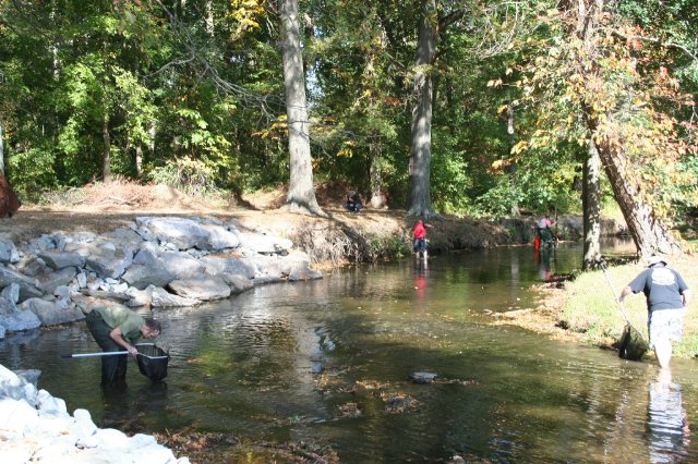 Collecting with dip nets