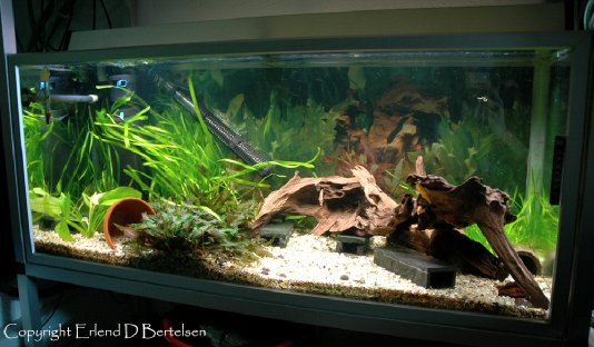 Spawning tank