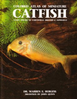 Colored Atlas of Miniature Catfish