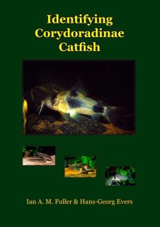 Identifying Corydoradinae Catfish