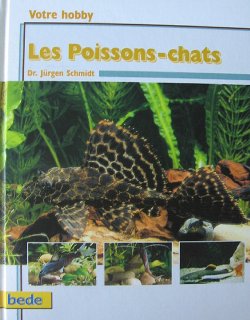 Votre hobby – Les poissons-chats