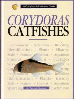 Corydoras Catfishes