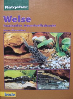 Welse, Faszination Aquarienfischzucht