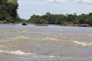 Rio Orinoco near Santa Barbara