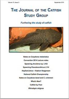 Catfish Study Group Journal