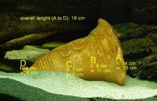 Dimensions of breeding pot</em>