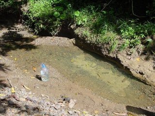 Typical Venezuelan Brook