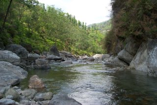 Habitat: River Rishi