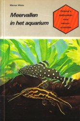 Meervallen in het Aquarium